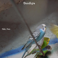 Chia Pets - Goodbye