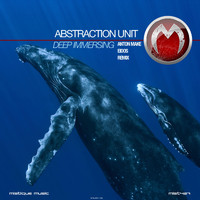 Abstraction Unit - Deep Immersing