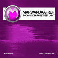 Marwan Jaafreh - Snow Under the Street Light