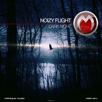 Noizy Flight - Dark Night