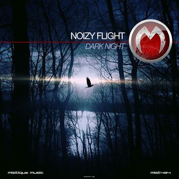 Noizy Flight - Dark Night