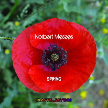 Norbert Meszes - Spring