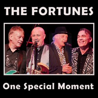 The Fortunes - One Special Moment