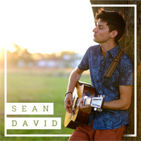 Sean David - This Is Your Album