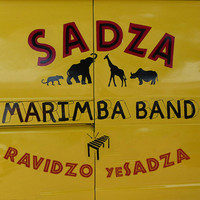 Sadza - Ravidzo Yesadza