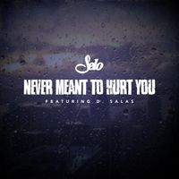 Selo - Never Meant to Hurt You