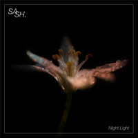 Sash - Night Light