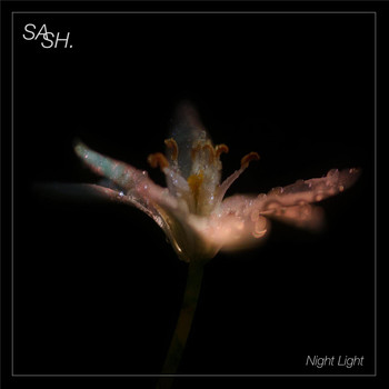 Sash - Night Light