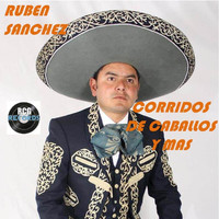 Ruben Sanchez - Corridos de Caballos y Mas (Explicit)