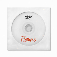 Icon - Flemme