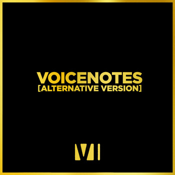 You Me At Six - Voicenotes (Alternative Version)
