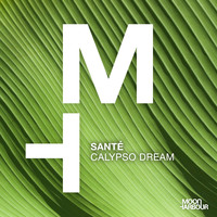 Santé - Calypso Dream