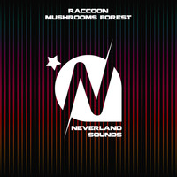 Raccoon - Mushrooms Forest