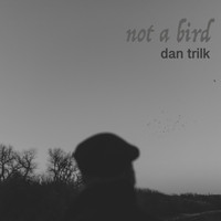 Dan Trilk - Not a Bird