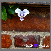 Zach - Walls