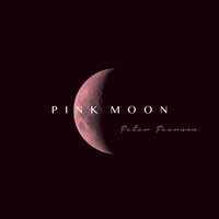 Peter Pearson - Pink Moon