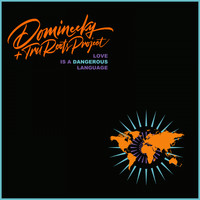 Domineeky & Tru Roots Project - Love is a Dangerous Language (Rare Remixes)