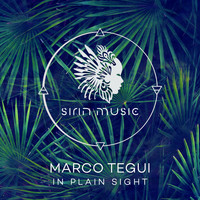 Marco Tegui - In Plain Sight