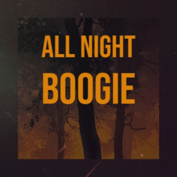 Various Artist - All Night Boogie