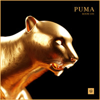 Room 109 - Puma