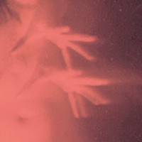 Gost - Bound by the Horror