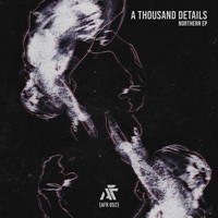 A Thousand Details - Northern EP
