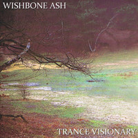 Wishbone Ash - Trance Visionary