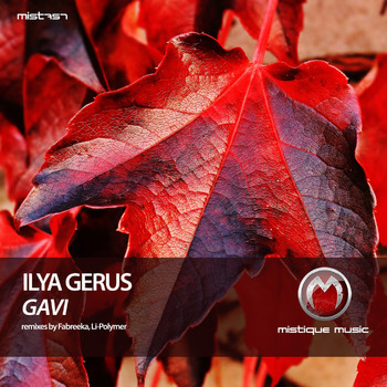 Ilya Gerus - Gavi