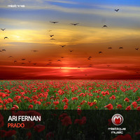 Ari Fernan - Prado