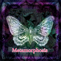 Iron Butterfly - Metamorphosis