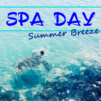 Kodachromes - Spa Day Summer Breeze
