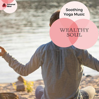 Ambient 11 - Wealthy Soul - Soothing Yoga Music