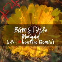 BGM STOCKs - マリーゴールド (LoFi-α 焚き火 Remix)