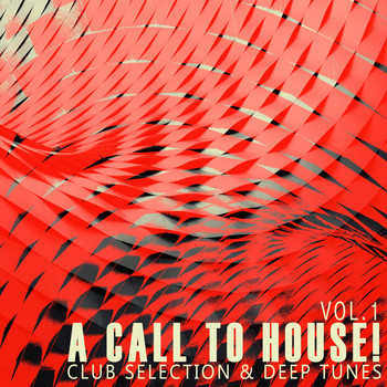 Various Artists - A Call to House!, Vol. 1