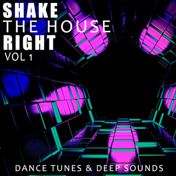 Various Artists - Shake the House Right, Vol. 1