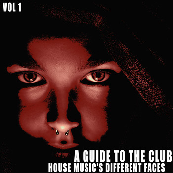 Various Artists - A Guide to the Club, Vol. 1