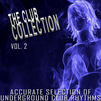 Various Artists - The Club Collection, Vol. 2