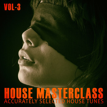Various Artists - House Masterclass, Vol. 3