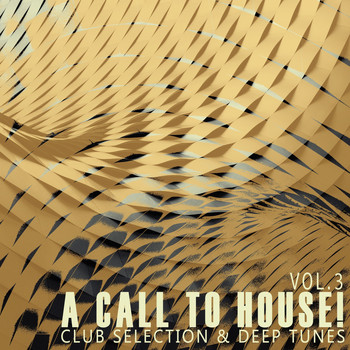 Various Artists - A Call to House!, Vol. 3