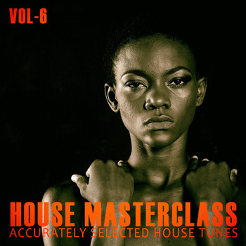 Various Artists - House Masterclass, Vol. 6