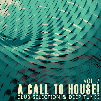 Various Artists - A Call to House!, Vol. 7