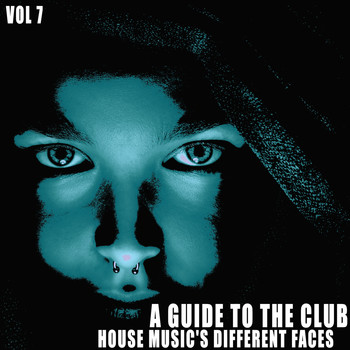 Various Artists - A Guide to the Club:, Vol. 7