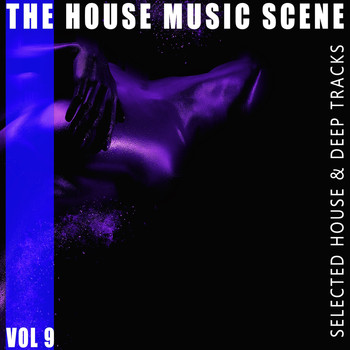Various Artists - The House Music Scene, Vol. 9