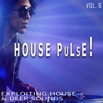 Various Artists - House Pulse!, Vol. 6