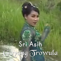 Sri Asih - Goyang Trowulan