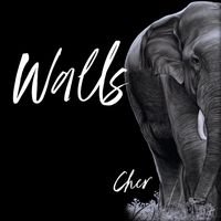 Cher - Walls