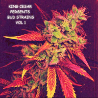 King Cesar - Bud Strains, Vol. 1 (LP)