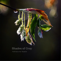 Shades of Gray - Pull Back the Shadow