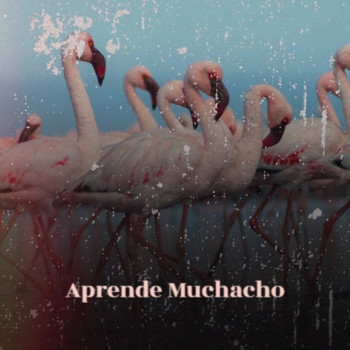 Various Artist - Aprende Muchacho