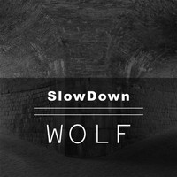 Slowdown - Wolf